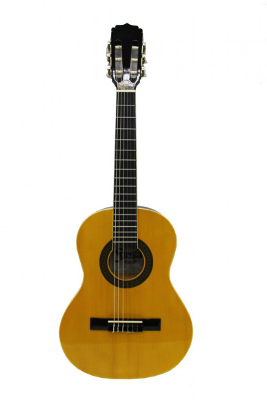 Классичеcкая гитара ARIA FIESTA FST-200-53 . Музыка обретет еще больше мощи и энергии. Классичеcкая гитара ARIA FIESTA FST-200-53 . Музыка обретет еще больше мощи и энергии.